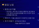 청소년기의 정신병리의 위험과 문제에 관한 발표자료 5페이지