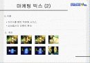 삼성몰 사례분석 14페이지