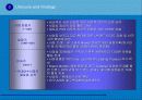 팬택 앤 큐리텔의 장기적 브랜드 관리 4페이지