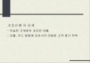 금융사례분석 - 조흥은행 정부매각 24페이지