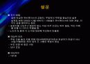사용자 중심의 Ubiquitous 와 정보의 중요성 11페이지