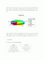 마케팅 성공사례-싸이월드 10페이지