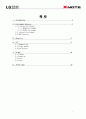 LGIBM-XNOTE-EOSTP4P 분석 보고서 2페이지