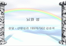 뇌와 성(사랑)은 어떻게 관련이 되어있나? 1페이지