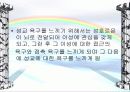 뇌와 성(사랑)은 어떻게 관련이 되어있나? 38페이지