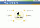 온라인게임 - 넥슨(기업소개 및 성공요인) 11페이지