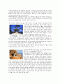 고적답사기행문 7페이지