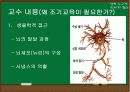 조기교육 교육안 6페이지