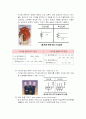 전기설비 28페이지