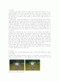 배구의 전반적인 기술과 자세 1페이지