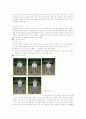 배구의 전반적인 기술과 자세 14페이지