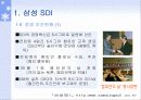 6시그마 개선사례 32페이지