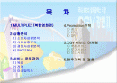 CGV복합상영관 마케팅-MULTIPLEX(복합영화관) 2페이지