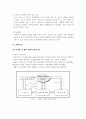 안경사업 창업과 해외 마케팅사례 4페이지