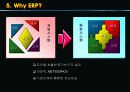 [프리젠테이션] 풀무원 ERP 도입 성공사례분석 7페이지