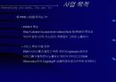 웹기반 개인정보관리 시스템 회사 사업계획서 3페이지