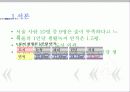 도시와 숲/ 환경 3페이지