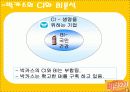 마시는 비타민 비타500 마케팅전략 20페이지