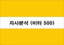 마시는 비타민 비타500 마케팅전략 30페이지