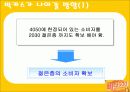 마시는 비타민 비타500 마케팅전략 43페이지