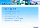태국의 관광 정책 / 리조트 산업 2페이지