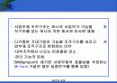 글로벌기업의 인적자원관리 10페이지