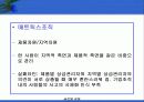 글로벌기업의 인적자원관리 13페이지