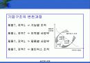 글로벌기업의 인적자원관리 17페이지