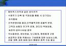 글로벌기업의 인적자원관리 29페이지