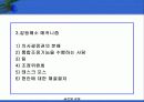 글로벌기업의 인적자원관리 34페이지