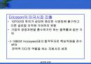 글로벌기업의 인적자원관리 43페이지