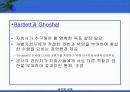 글로벌기업의 인적자원관리 47페이지