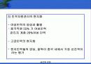 글로벌기업의 인적자원관리 62페이지
