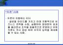 글로벌기업의 인적자원관리 64페이지