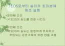 기상반응에의한 나노입자 제조 27페이지