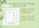 기상반응에의한 나노입자 제조 28페이지