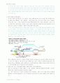 운전 테크닉 15페이지