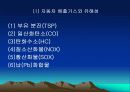 자동차 배출가스와  환경오염 5페이지