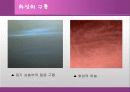 화성에 관한 발표 자료 27페이지