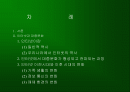 인터넷·모바일과 대중문화 2페이지