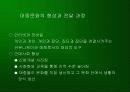 인터넷·모바일과 대중문화 7페이지
