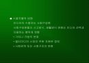 인터넷·모바일과 대중문화 18페이지