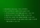 인터넷·모바일과 대중문화 30페이지