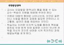 인지적 도제이론에 따른 작문 교수-학습 모형 연구 11페이지