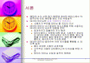 데이타 마이닝 2페이지