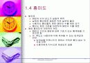 데이타 마이닝 12페이지