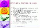데이타 마이닝 15페이지