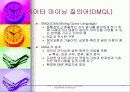 데이타 마이닝 16페이지