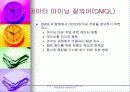 데이타 마이닝 17페이지