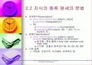 데이타 마이닝 21페이지